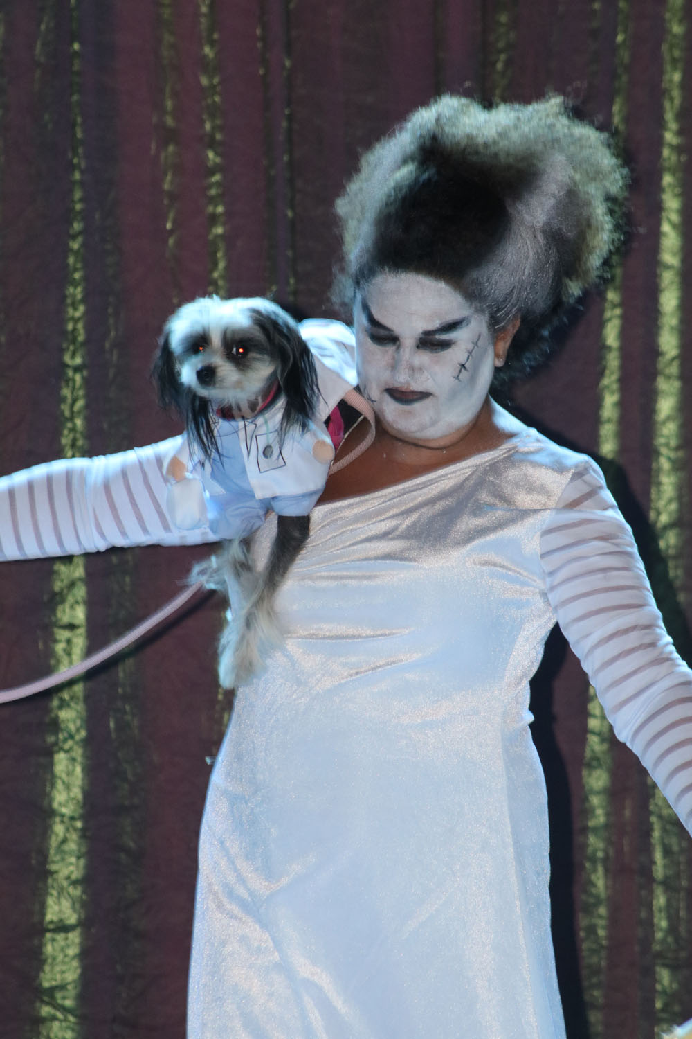 Pet Masquerade 2018 photo - Duval Street, Key West
